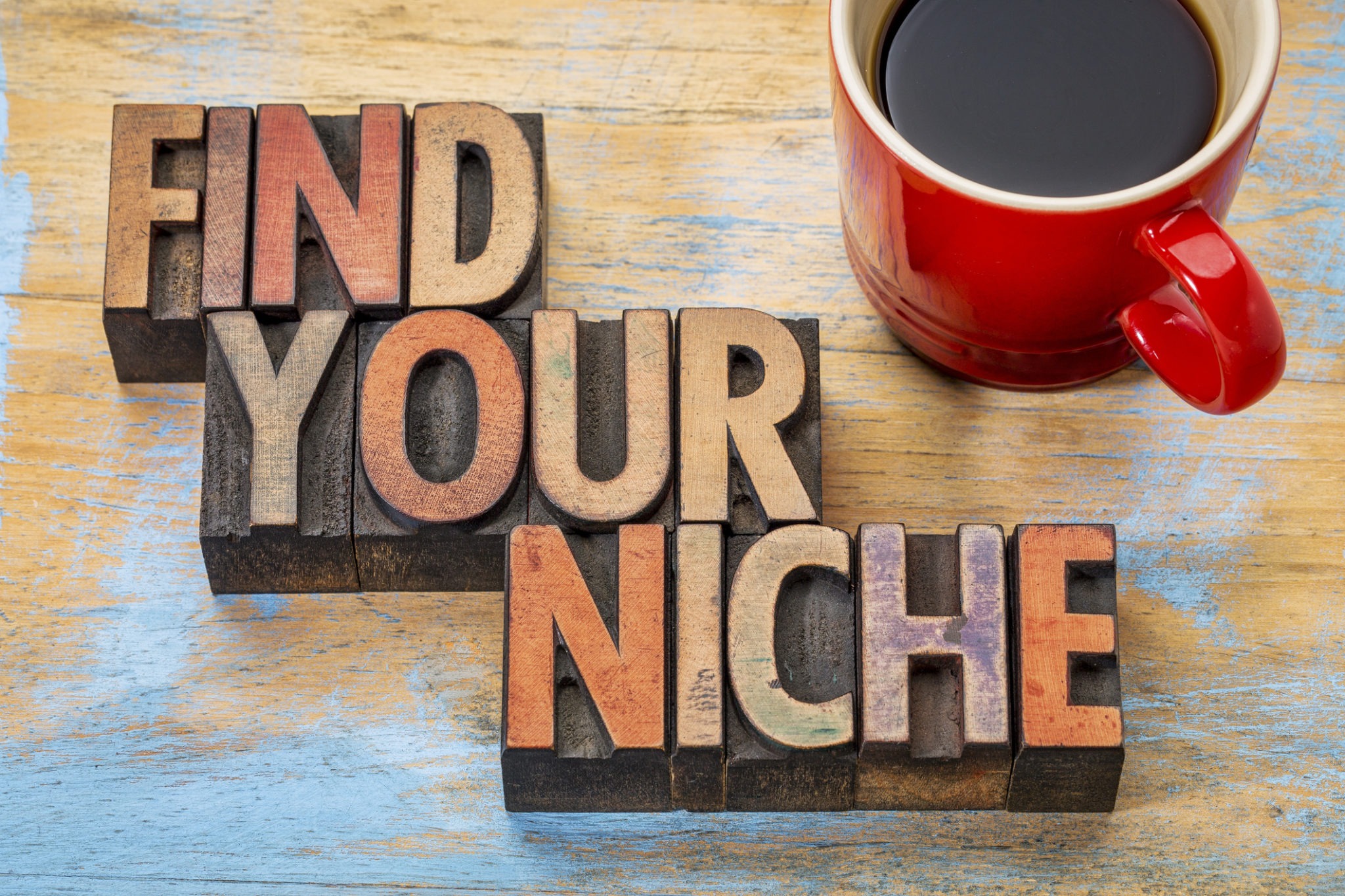 how-do-you-discover-your-niche-and-ideal-potential-customers-so-you-can